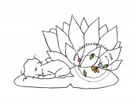 Water Lily Baby