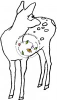 Little Deer Child