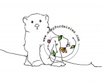 Little Bear Friend