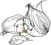 Fancy Onion