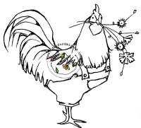 Mr. Rooster