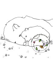 Spring Nap
