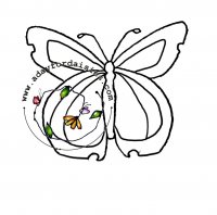 Butterfly F