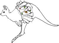 Kangaroo Ballet