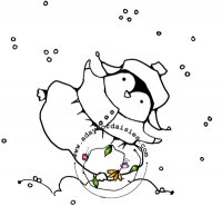 Penguin Play