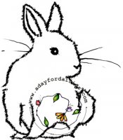 Fuzzy Bunny Thoughts