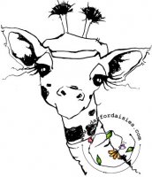 Little Educated Giraffe