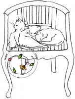 Cat's Favorite Chair