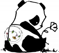 Panda Alone