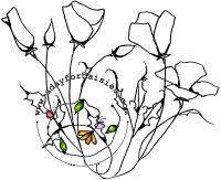 Spring Poppy Bunch
