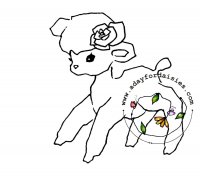 Rose Lamb