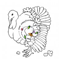 Pretty Turkey