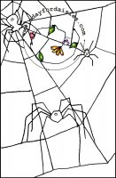 Spider Web