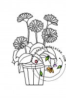 Potted Gerber Daisies 2