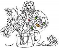 Daisy Cup